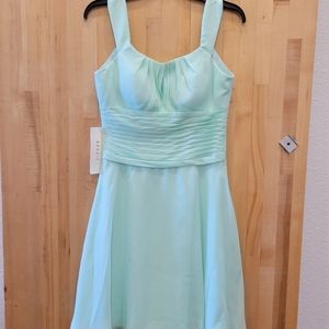 Formal/Bridesmaid Dress